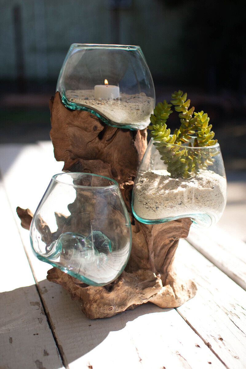 Triple Terrarium Driftwood Planter Vase Glass
